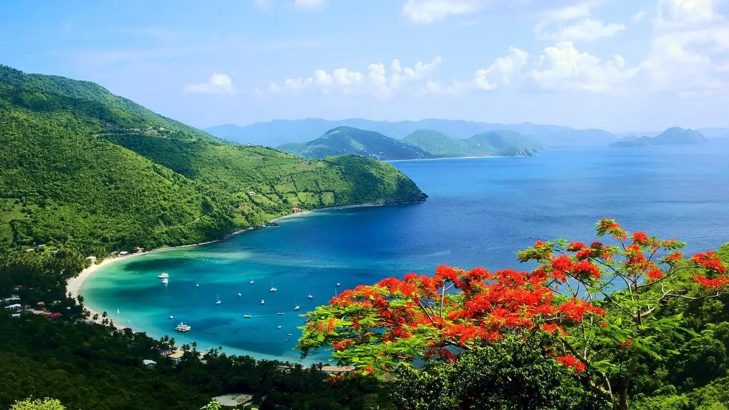 高效高性能环保